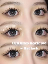 LED 120本