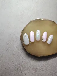 定額コース