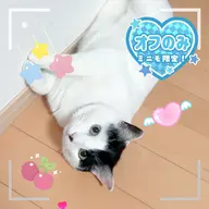【他店オフ】