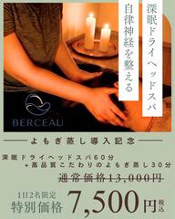 深眠ドライヘッドスパ60分+よもぎ蒸し30分