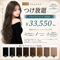 【つけ放題】プラチナ42cm  110本まで［馴染ませカット+エクステ整えカット込み］