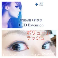 LED エクステ(ボリュームラッシュ100束300~500本)