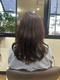 ⭐︎レイヤーカットモデル様⭐︎募集