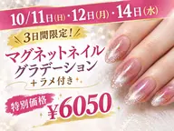 【10/11・12・14の3日間限定】マグネットグラデーション+ラメ付