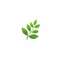 【2回目】【3回目】ハーブピーリング🌿