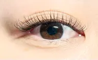 オフなし 3Dボリュームラッシュ80束※付け足し不可