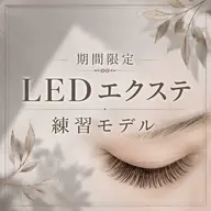 【6/13.14限定】LED💡フラットラッシュ120本 練習モデル