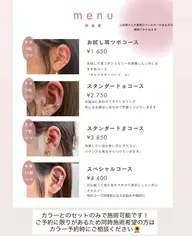 ワンカラー+耳ツボジュエリー(両耳合わせて10粒)✨