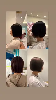 ボブ限定 🌱