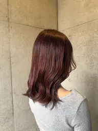 onecolor/暖色系color🍒
