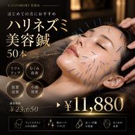 【美容鍼が初めての方に】ハリネズミ美容鍼50本