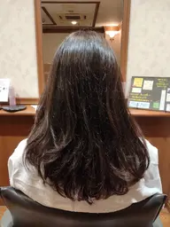 カットモデル