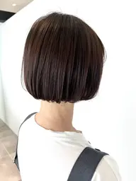 カットモデル