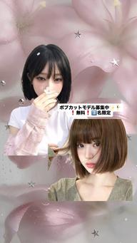 カットモデル募集(ボブ限定)3️⃣名限定❗️✨営業終了後︎︎⟡.·