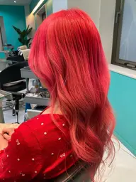 ダブルカラー+ヘアトリートメント