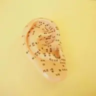 耳ツボ痩身ダイエット