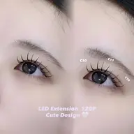 𝑳𝑬𝑫🔦 80本🪽🫧 (束感CT付き🌿 ܸ)