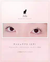 🐈‍⬛ 上下ラッシュリフト(アイシャンプー、TR、CT付き)