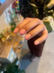 フレンチ✴︎
