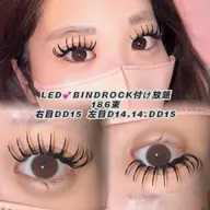 【ミニモ限定❤️🔥】LED🎀オフ込みバインドロック付け放題‼️⭐️
