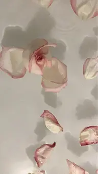 ネイルオフのみ【当店】