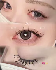 フラットラッシュ160本