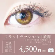 フラットラッシュ🎀つけ放題💚💚J/C/Dカール👀✨ ベテランアイリストが担当します💁🏼‍♀️🪄︎︎✨