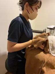 【まずはお試し】快眠ドライヘッドケア 30分短時間でもスッキリしたい方へ