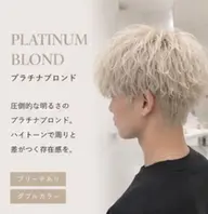 【メンズ限定 ブリーチ込み】 ダブルカラー (シルバー/ホワイト/寒色系)
