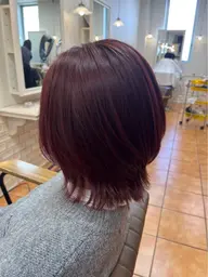 ヘアカラーモデル