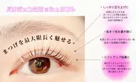 【7月末まで限定💫】パリジェンヌ🐝 ［茨木/まつげパーマ/パリジェンヌ/大阪］