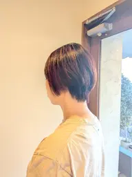 ショートカットモデル
