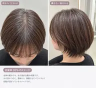【モデル募集中‼️】グレーカラー(白髪染め)モデル🌼
