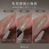 【オプション】亀裂補強 1本