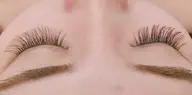 🌟最新🌟バインドロック 80束