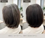✨️白髪染め全体のみ￥5500→￥2800✨️