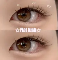🎀【フラットラッシュ100本】🎀             ※オフなし ［府中/府中本町/調布］