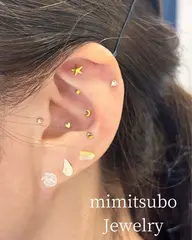耳ツボジュエリー💎8個まで