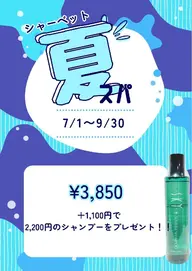 【7/1〜9/30限定☀️】すっきり爽快夏のクールヘッドスパ🍉