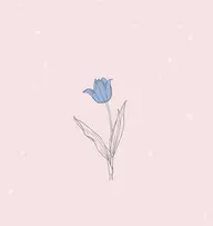 オフのみ