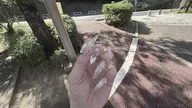 長さ出し有り持ち込みデザイン💅