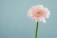 【相談¥0】肌質に合った施術内容を一緒に考えさせていただきます🫧