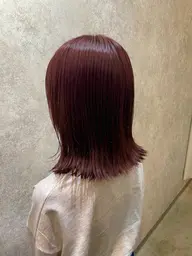 ໒꒱人気👑No.2🥈🎀カラー🍒システムトリートメント✨️𓊆ヘッドスパシャンプー 𓊇