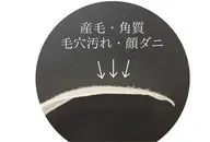 【お肌ツルツヤ!】艶肌へ導くお肌に優しいフェイシャルワックス🌿ポレーション導入付き🫧