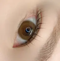 <ミニモ学割> U24歳限定✮*。゚上Lash Lift ✮*。゚