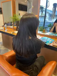 ワンカラー + 3stepハホニコトリートメント 🪮