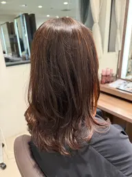 『土曜日無料✨️』 ミディアムカット✂️