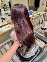 ❇️premium color❇️