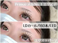 フラットラッシュ/１２０本
