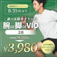 腕or脚orVIOの脱毛2回が、今なら3,980円に!